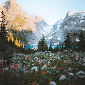 Meet your Posher, Crystal